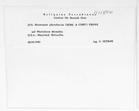 Phomopsis phytolaccae image